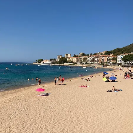 דירה Trottel A Livia